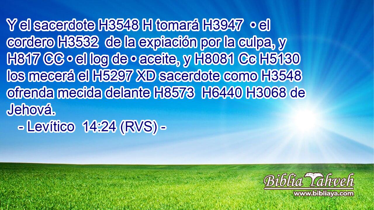 Y el sacerdote H3548 H tomará H3947  • el cordero H3532  de la expiación por la culpa, y H817 CC • el log de • aceite, y H8081 Cc H5130 los mecerá el H5297 XD sacerdote como H3548 ofrenda mecida delante H8573  H6440 H3068 de Jehová. 