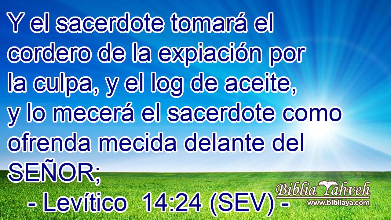 Y el sacerdote tomará el cordero de la expiación por la culpa, y el log de aceite, y lo mecerá el sacerdote como ofrenda mecida delante del SEÑOR;