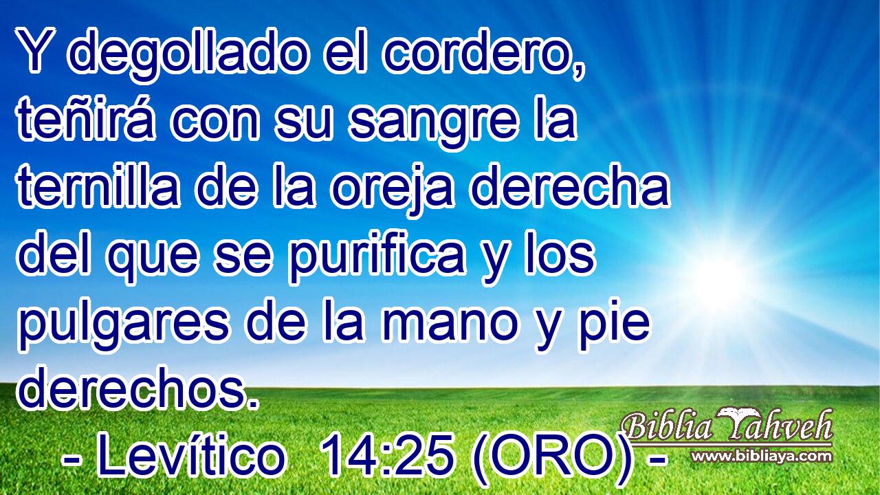  Y degollado el cordero, teñirá con su sangre la ternilla de la oreja derecha del que se purifica y los pulgares de la mano y pie derechos. 