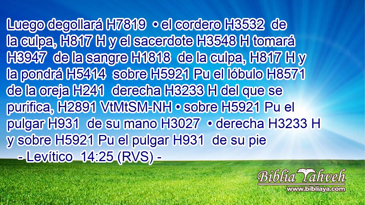 Luego degollará H7819  • el cordero H3532  de la culpa, H817 H y el sacerdote H3548 H tomará H3947  de la sangre H1818  de la culpa, H817 H y la pondrá H5414  sobre H5921 Pu el lóbulo H8571  de la oreja H241  derecha H3233 H del que se purifica, H2891 VtMtSM-NH • sobre H5921 Pu el pulgar H931  de su mano H3027  • derecha H3233 H y sobre H5921 Pu el pulgar H931  de su pie 
