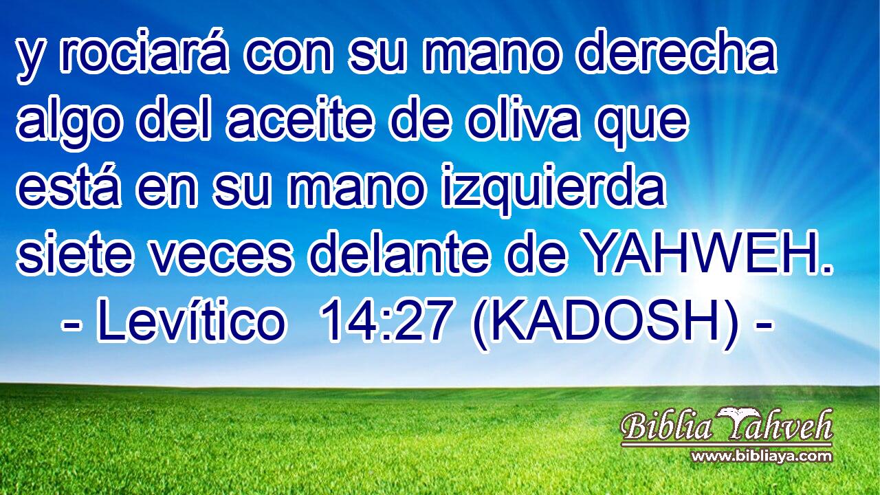  y rociará con su mano derecha algo del aceite de oliva que está en su mano izquierda siete veces delante de YAHWEH. 