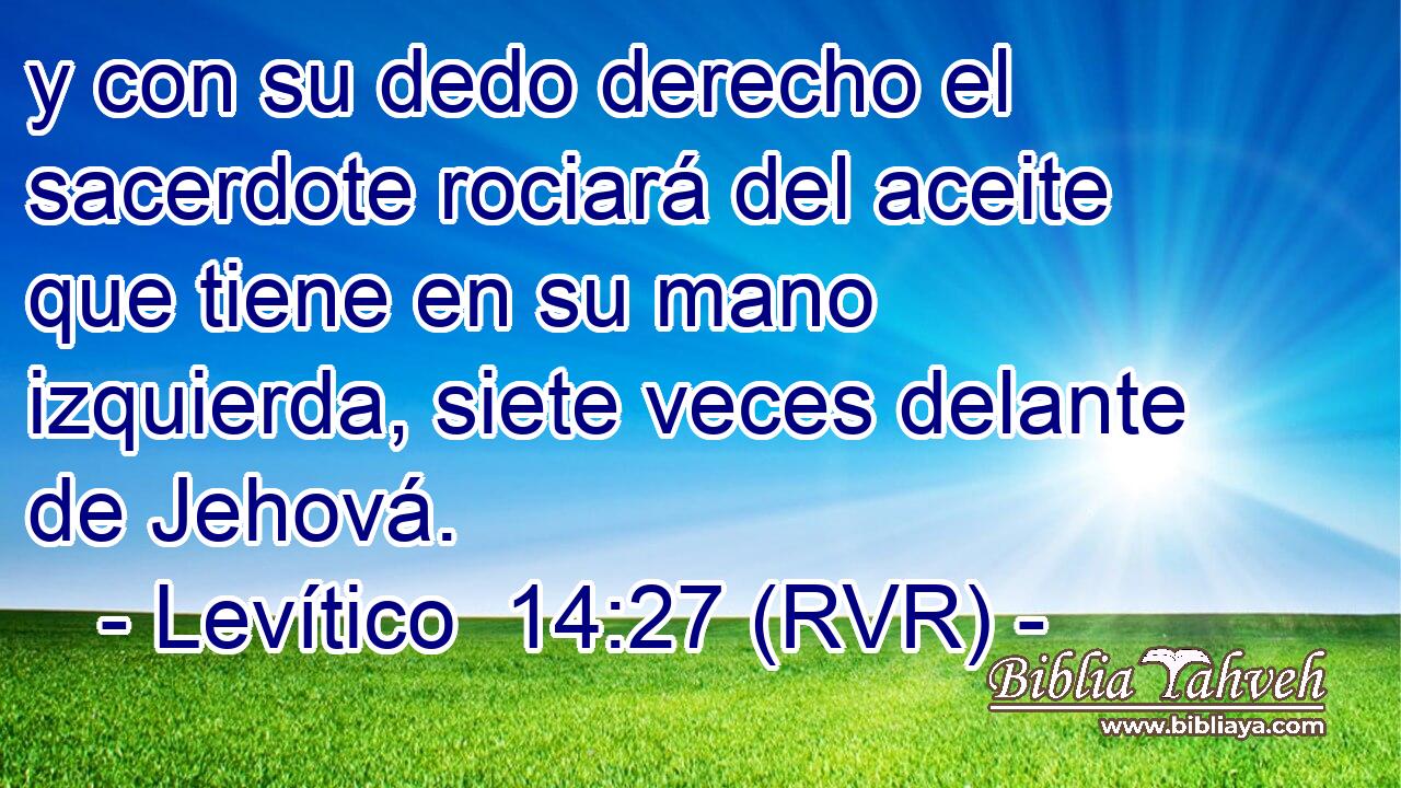 y con su dedo derecho el sacerdote rociará del aceite que tiene en su mano izquierda, siete veces delante de Jehová.