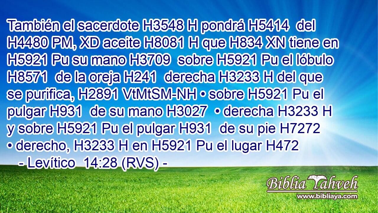 También el sacerdote H3548 H pondrá H5414  del H4480 PM, XD aceite H8081 H que H834 XN tiene en H5921 Pu su mano H3709  sobre H5921 Pu el lóbulo H8571  de la oreja H241  derecha H3233 H del que se purifica, H2891 VtMtSM-NH • sobre H5921 Pu el pulgar H931  de su mano H3027  • derecha H3233 H y sobre H5921 Pu el pulgar H931  de su pie H7272  • derecho, H3233 H en H5921 Pu el lugar H472