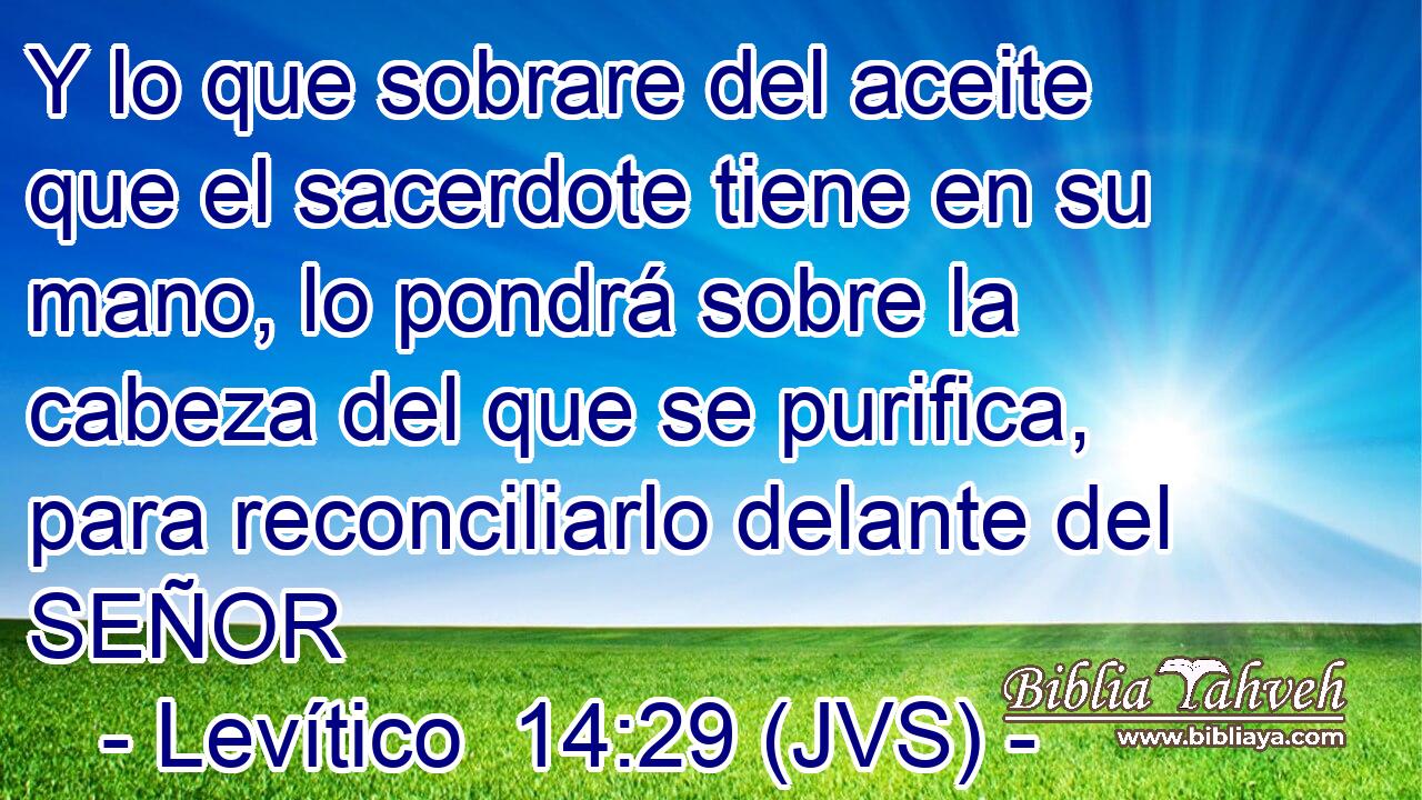 Y lo que sobrare del aceite que el sacerdote tiene en su mano, lo pondrá sobre la cabeza del que se purifica, para reconciliarlo delante del SEÑOR