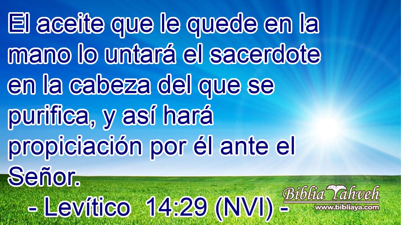  El aceite que le quede en la mano lo untará el sacerdote en la cabeza del que se purifica, y así hará propiciación por él ante el Señor. 