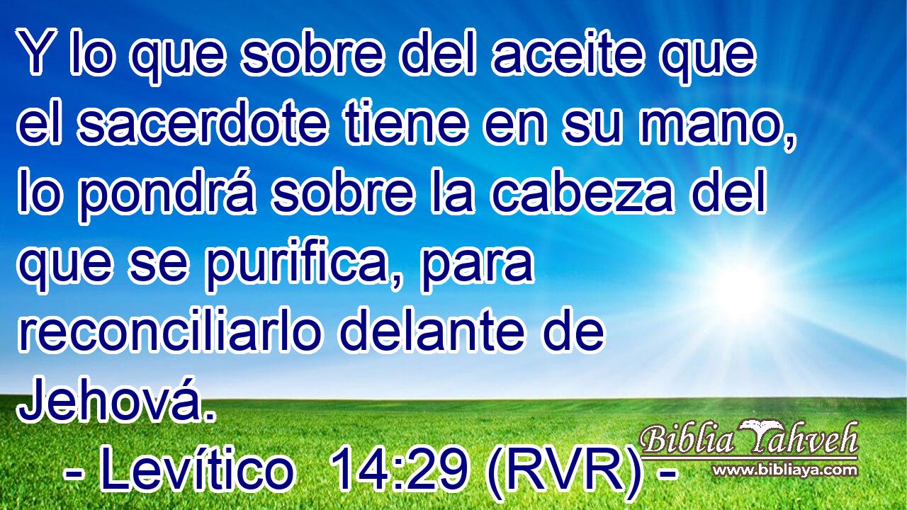 Y lo que sobre del aceite que el sacerdote tiene en su mano, lo pondrá sobre la cabeza del que se purifica, para reconciliarlo delante de Jehová.