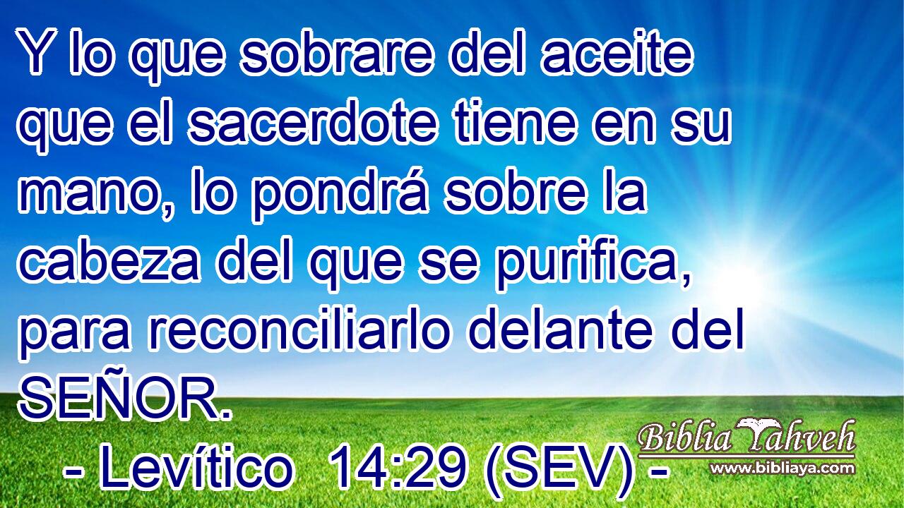 Y lo que sobrare del aceite que el sacerdote tiene en su mano, lo pondrá sobre la cabeza del que se purifica, para reconciliarlo delante del SEÑOR.
