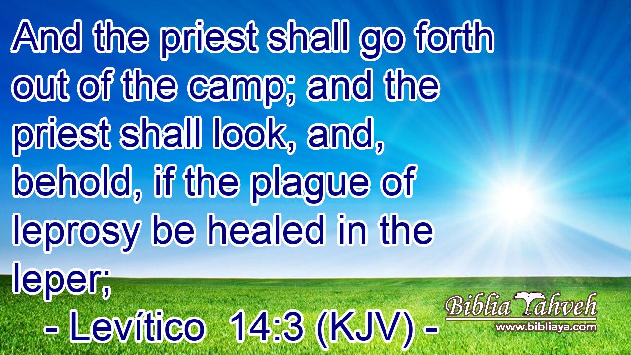 And the priest shall go forth out of the camp; and the priest shall look, and, behold, if the plague of leprosy be healed in the leper;