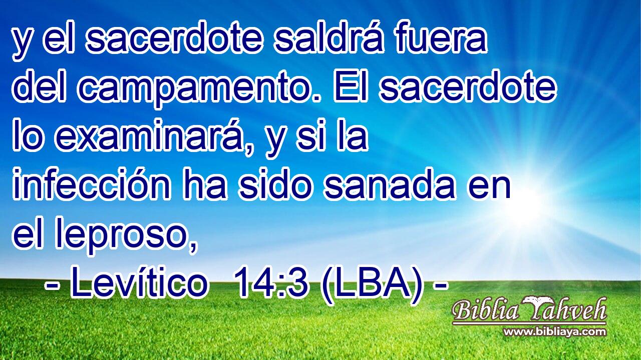 y el sacerdote saldrá fuera del campamento. El sacerdote lo examinará, y si la infección ha sido sanada en el leproso,