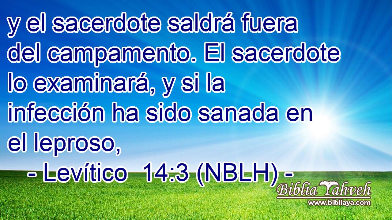  y el sacerdote saldrá fuera del campamento. El sacerdote lo examinará, y si la infección ha sido sanada en el leproso, 