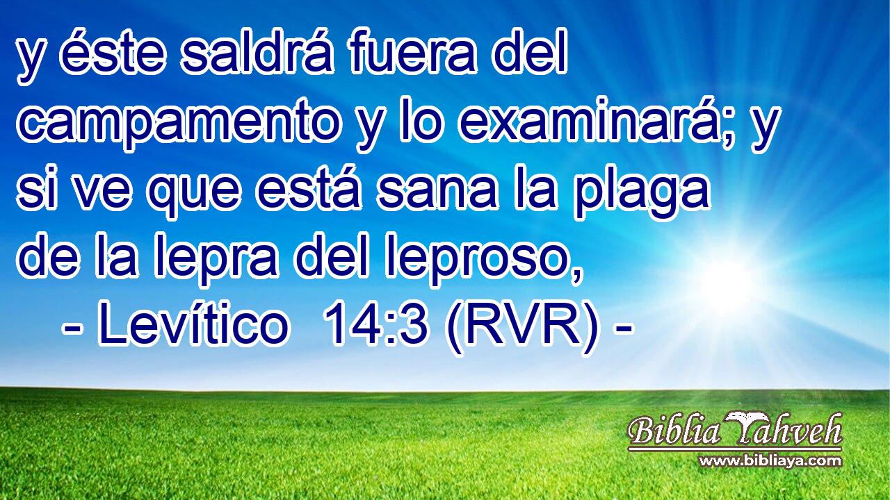 y éste saldrá fuera del campamento y lo examinará; y si ve que está sana la plaga de la lepra del leproso,