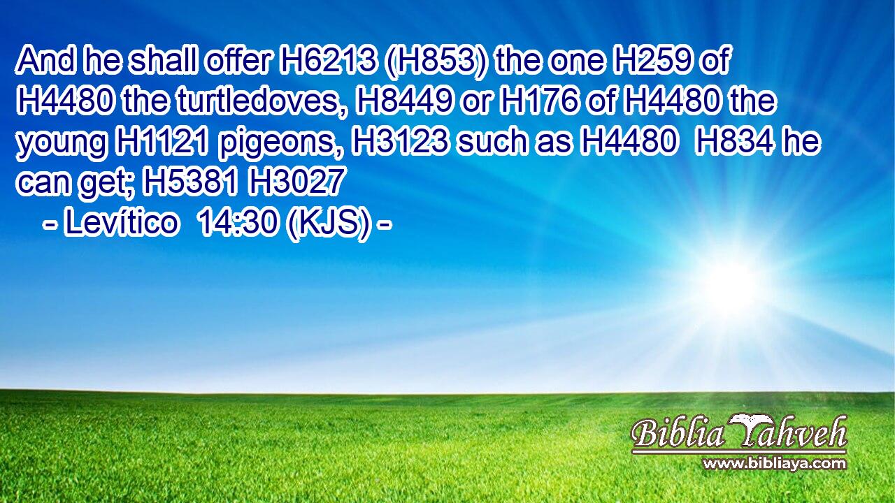 And he shall offer H6213 (H853) the one H259 of H4480 the turtledoves, H8449 or H176 of H4480 the young H1121 pigeons, H3123 such as H4480  H834 he can get; H5381 H3027