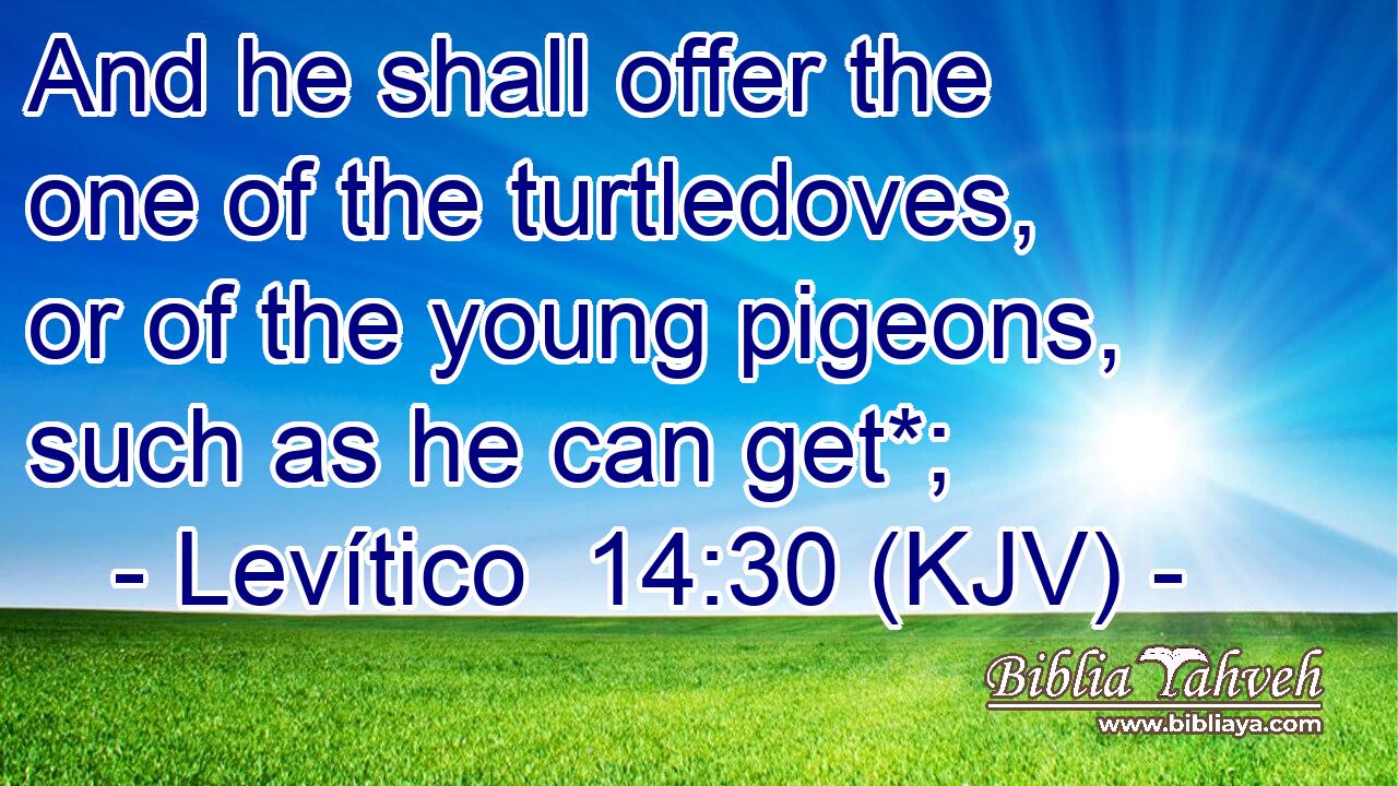 And he shall offer the one of the turtledoves, or of the young pigeons, such as he can get*;