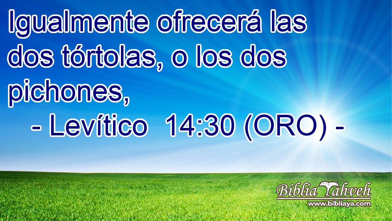  Igualmente ofrecerá las dos tórtolas, o los dos pichones, 