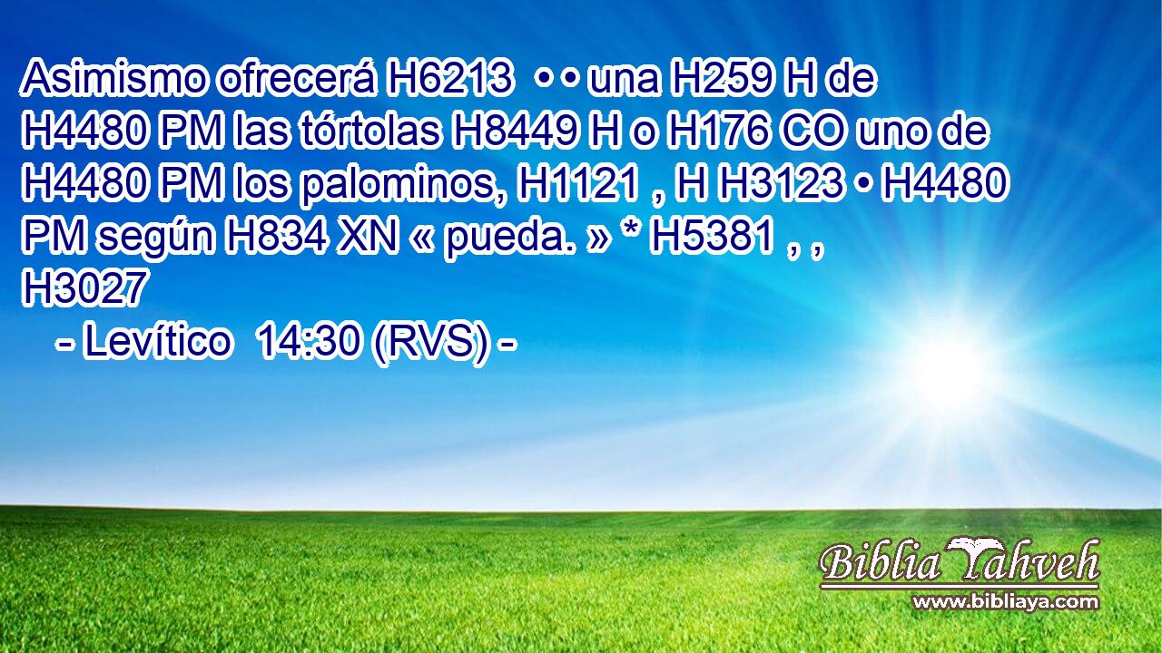 Asimismo ofrecerá H6213  • • una H259 H de H4480 PM las tórtolas H8449 H o H176 CO uno de H4480 PM los palominos, H1121 , H H3123 • H4480 PM según H834 XN « pueda. » * H5381 , ,  H3027 