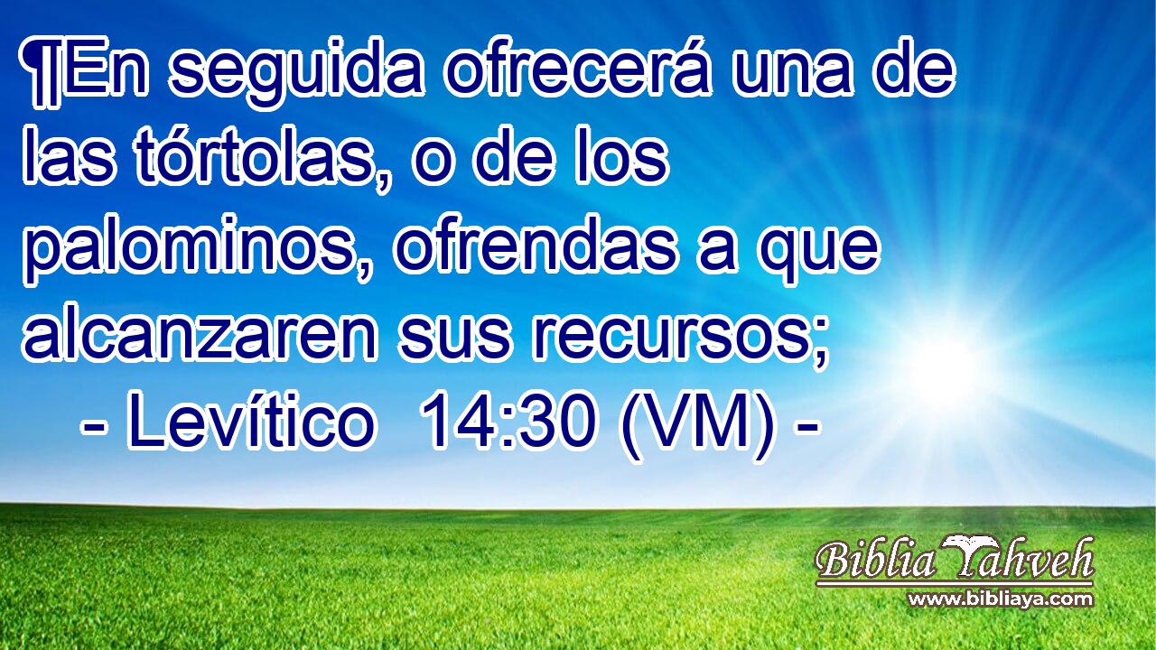  ¶En seguida ofrecerá una de las tórtolas, o de los palominos, ofrendas a que alcanzaren sus recursos; 