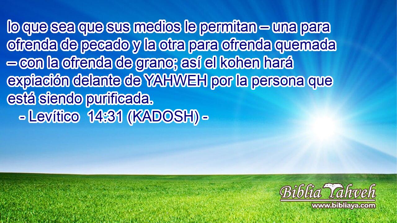  lo que sea que sus medios le permitan – una para ofrenda de pecado y la otra para ofrenda quemada – con la ofrenda de grano; así el kohen hará expiación delante de YAHWEH por la persona que está siendo purificada. 