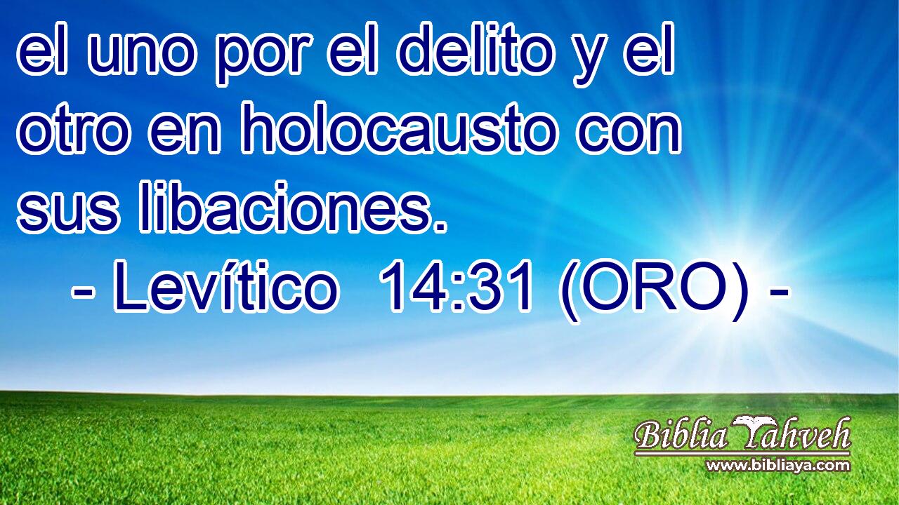  el uno por el delito y el otro en holocausto con sus libaciones. 
