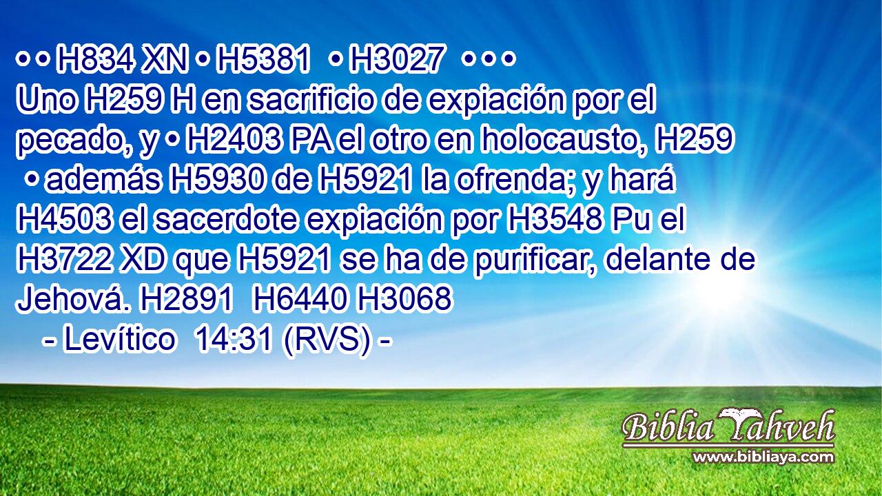 • • H834 XN • H5381  • H3027  • • • Uno H259 H en sacrificio de expiación por el pecado, y • H2403 PA el otro en holocausto, H259  • además H5930 de H5921 la ofrenda; y hará H4503 el sacerdote expiación por H3548 Pu el H3722 XD que H5921 se ha de purificar, delante de Jehová. H2891  H6440 H3068 