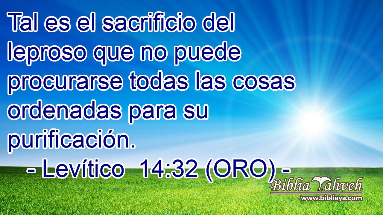  Tal es el sacrificio del leproso que no puede procurarse todas las cosas ordenadas para su purificación. 