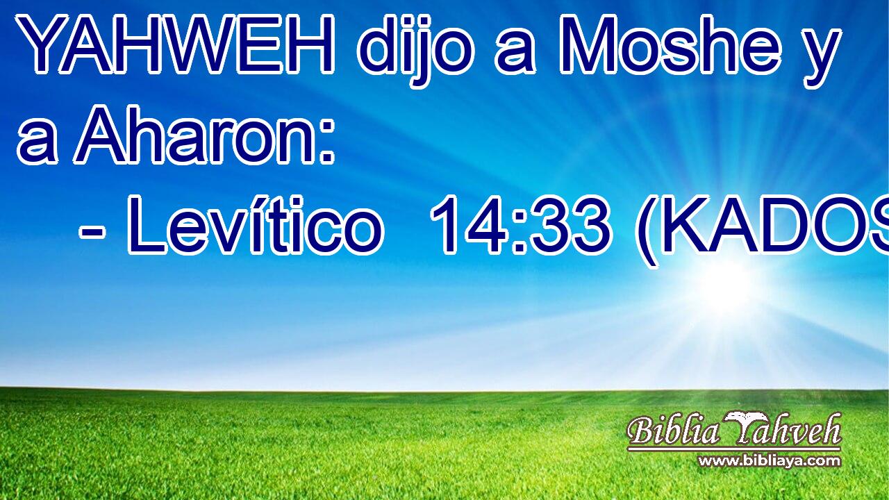  YAHWEH dijo a Moshe y a Aharon: 