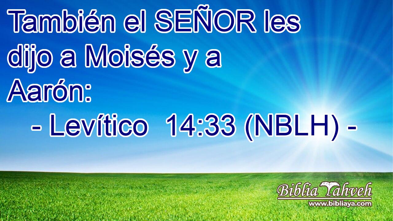  También el SEÑOR les dijo a Moisés y a Aarón: 