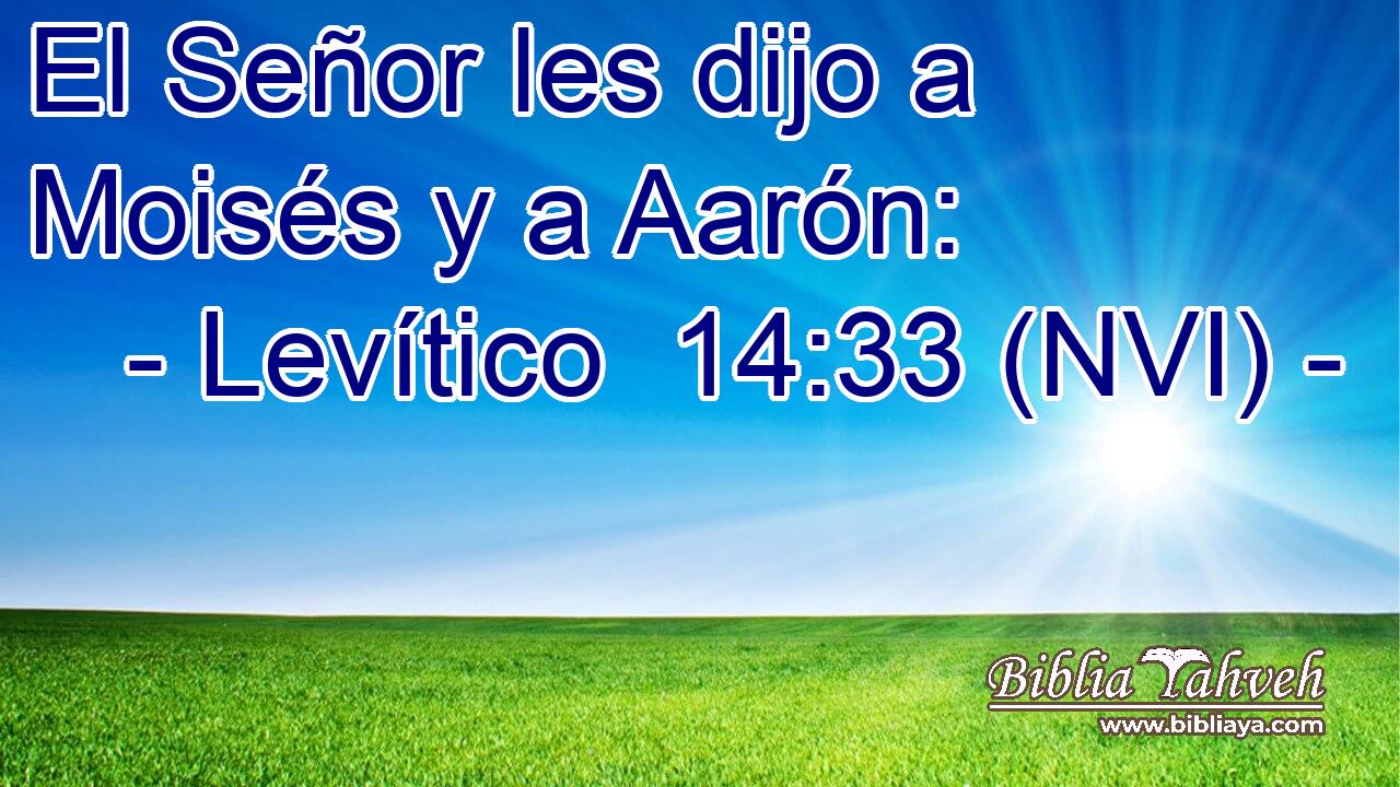  El Señor les dijo a Moisés y a Aarón: 