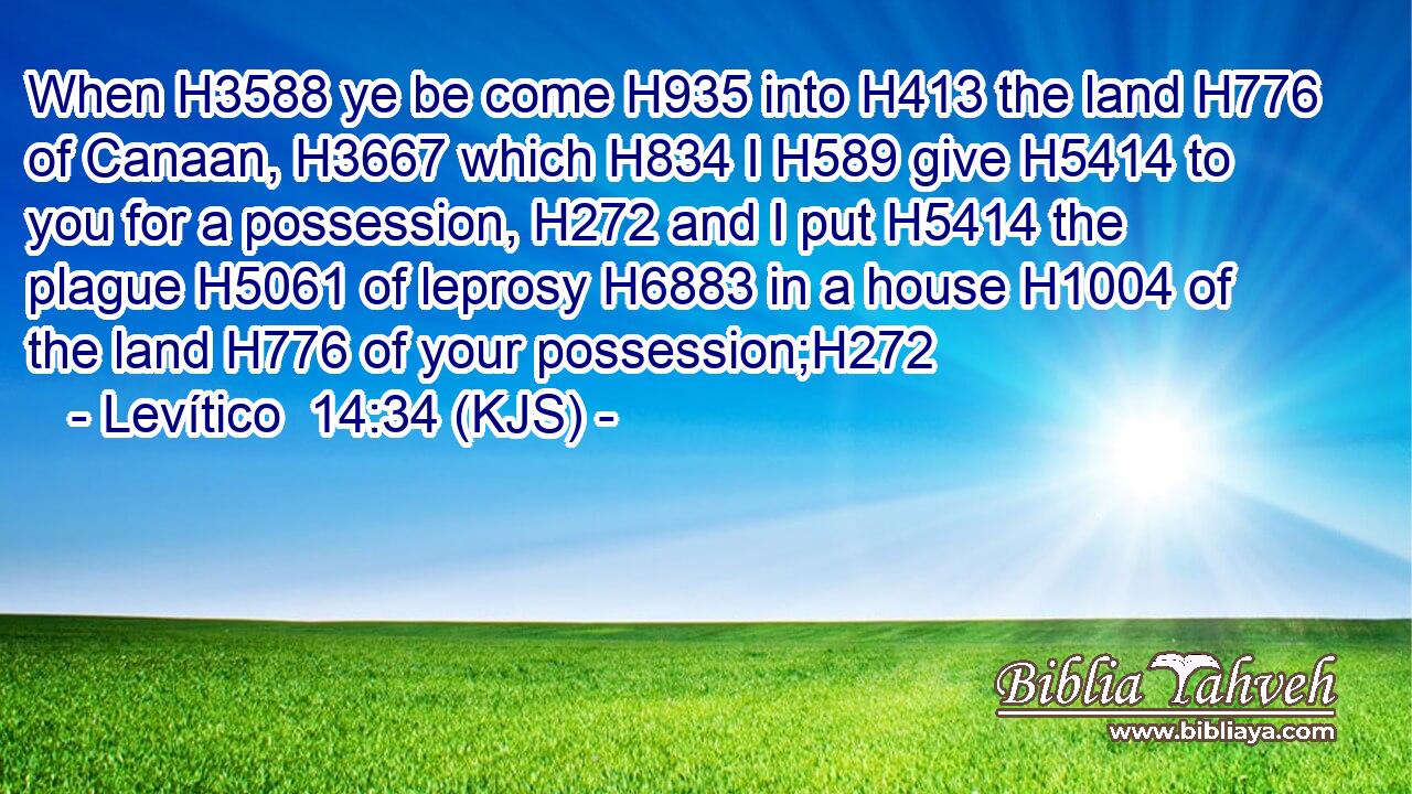 When H3588 ye be come H935 into H413 the land H776 of Canaan, H3667 which H834 I H589 give H5414 to you for a possession, H272 and I put H5414 the plague H5061 of leprosy H6883 in a house H1004 of the land H776 of your possession;H272