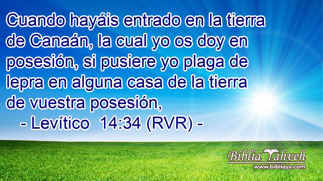 Cuando hayáis entrado en la tierra de Canaán, la cual yo os doy en posesión, si pusiere yo plaga de lepra en alguna casa de la tierra de vuestra posesión,