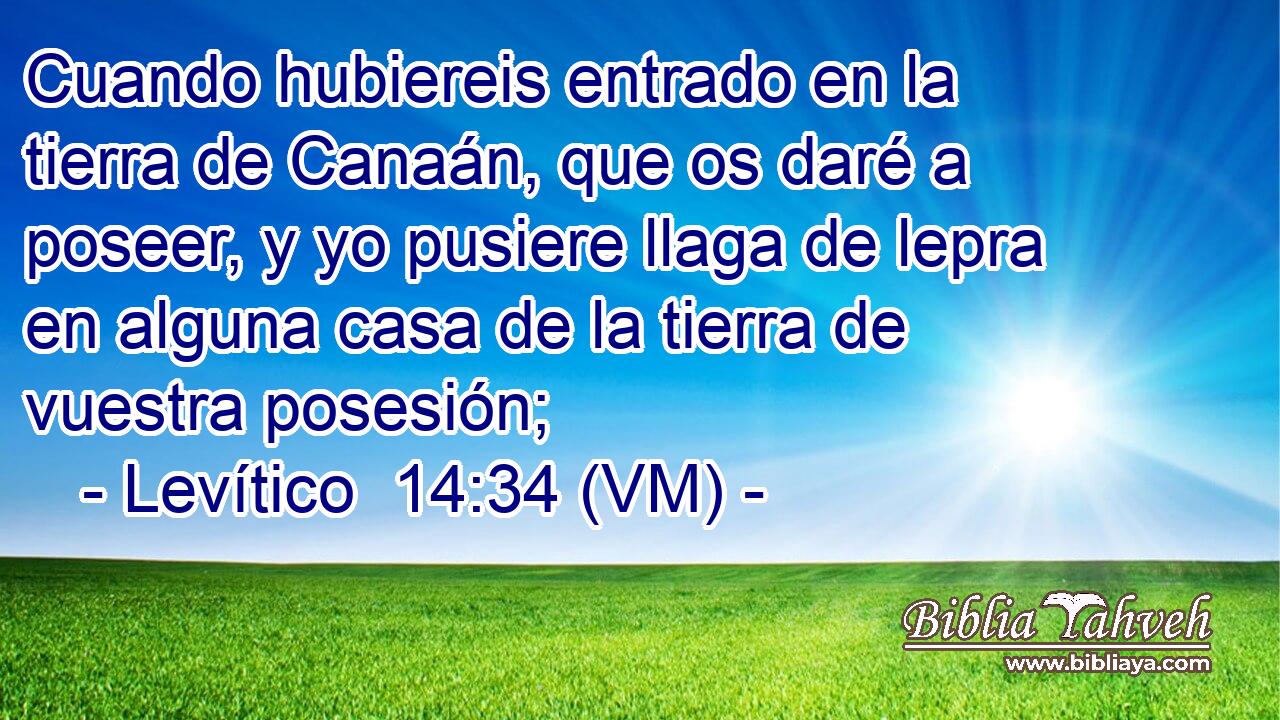  Cuando hubiereis entrado en la tierra de Canaán, que os daré a poseer, y yo pusiere llaga de lepra en alguna casa de la tierra de vuestra posesión; 