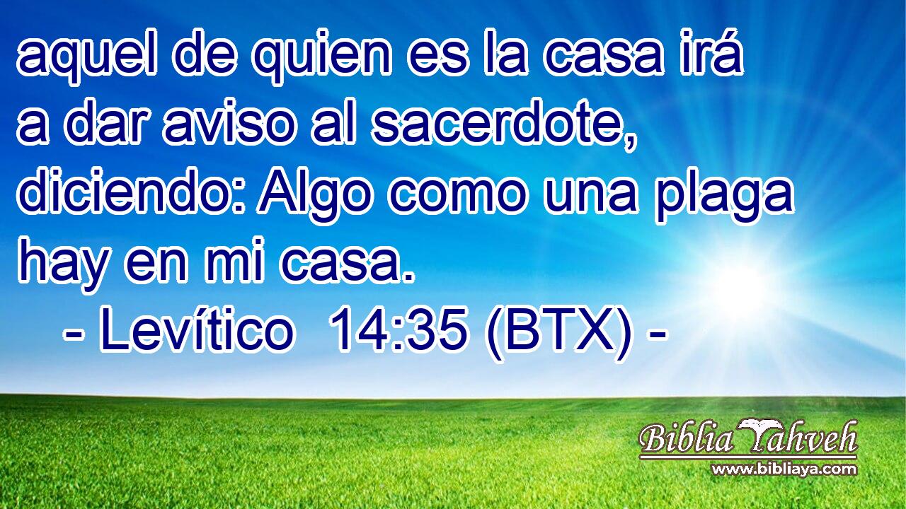 aquel de quien es la casa irá a dar aviso al sacerdote, diciendo: Algo como una plaga hay en mi casa.