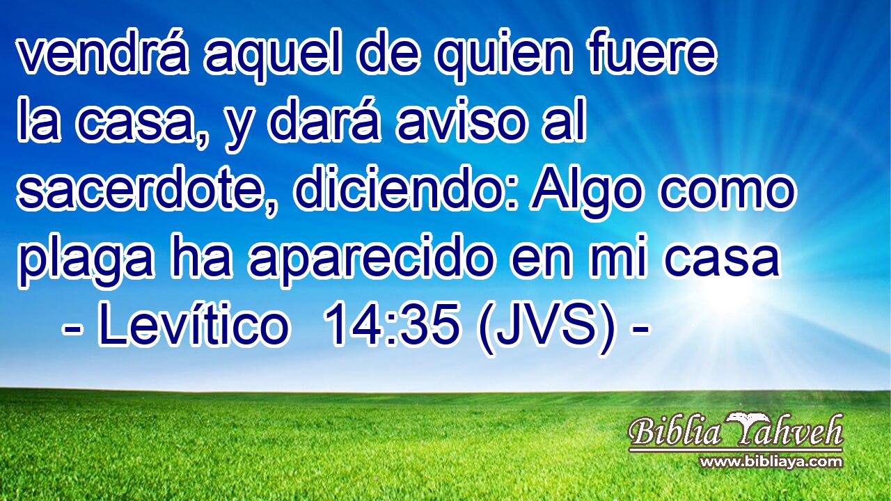 vendrá aquel de quien fuere la casa, y dará aviso al sacerdote, diciendo: Algo como plaga ha aparecido en mi casa