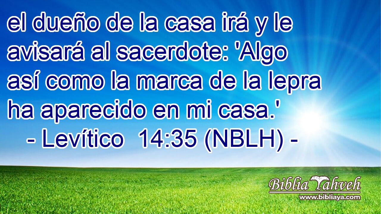  el dueño de la casa irá y le avisará al sacerdote: 'Algo así como la marca de la lepra ha aparecido en mi casa.' 