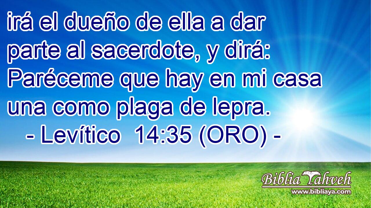  irá el dueño de ella a dar parte al sacerdote, y dirá: Paréceme que hay en mi casa una como plaga de lepra. 