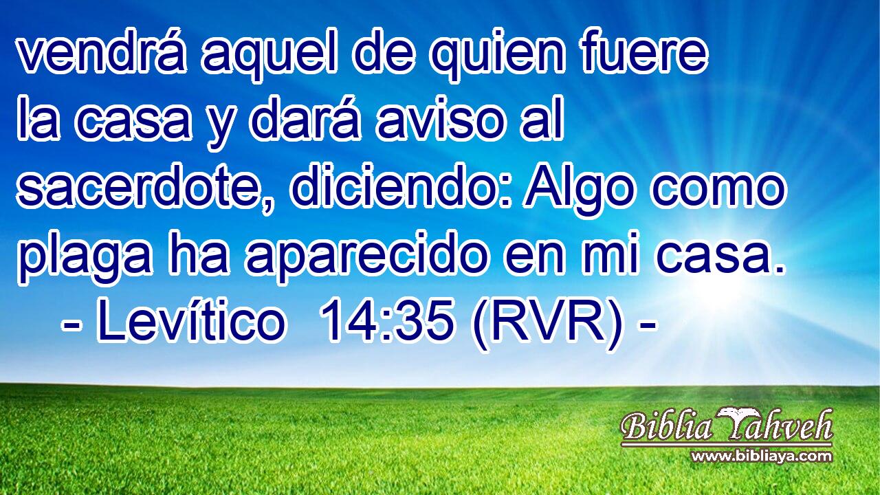 vendrá aquel de quien fuere la casa y dará aviso al sacerdote, diciendo: Algo como plaga ha aparecido en mi casa.