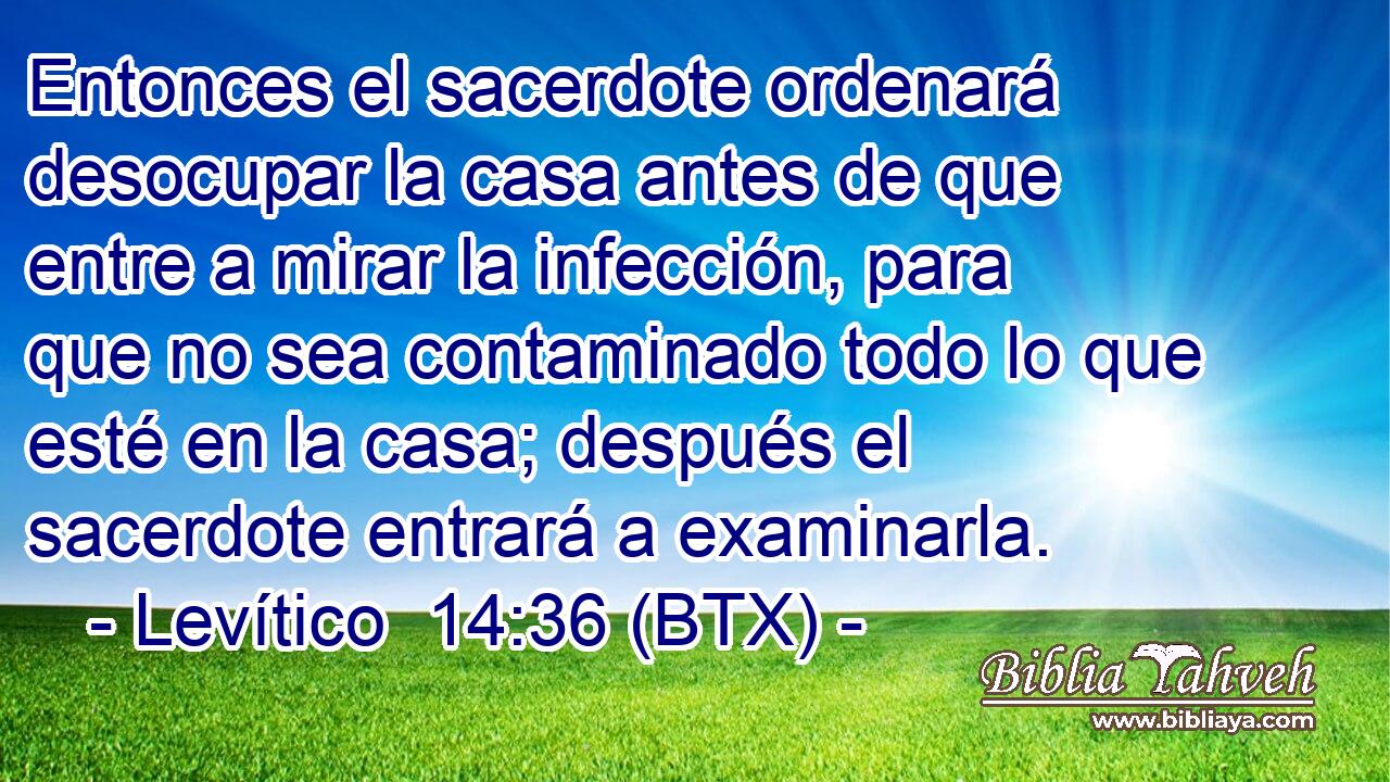 Entonces el sacerdote ordenará desocupar la casa antes de que entre a mirar la infección, para que no sea contaminado todo lo que esté en la casa; después el sacerdote entrará a examinarla.