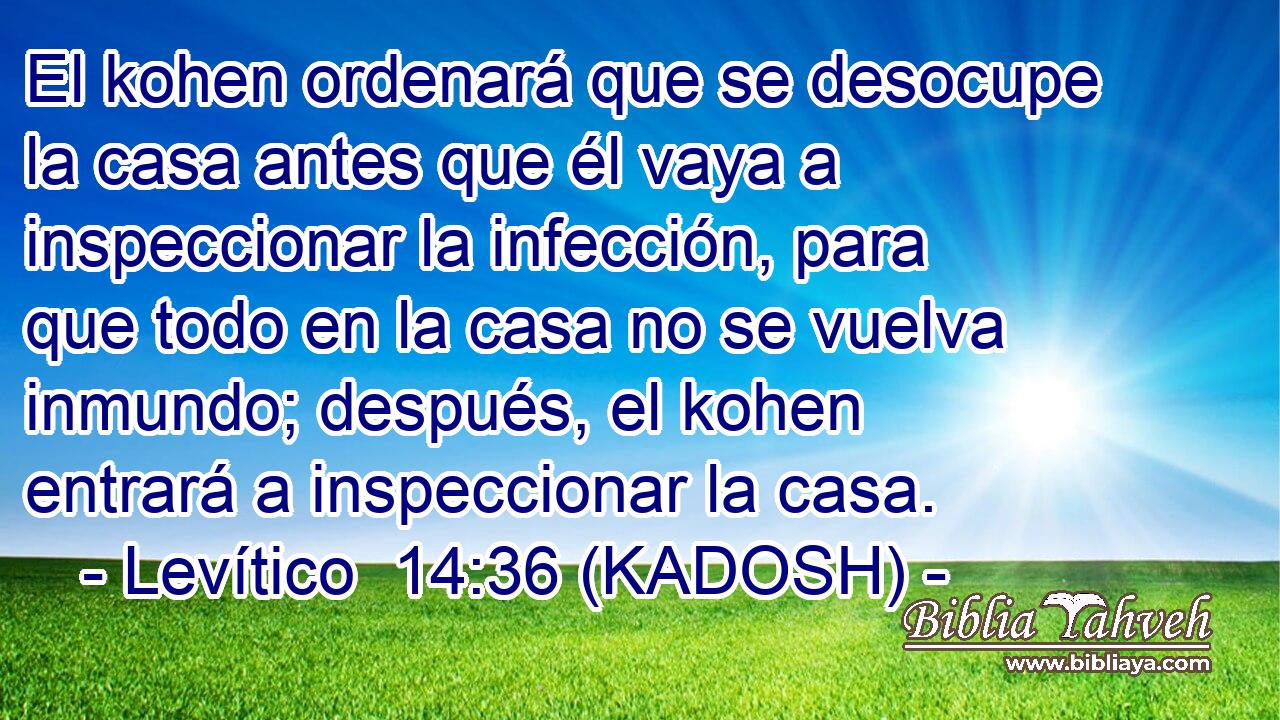  El kohen ordenará que se desocupe la casa antes que él vaya a inspeccionar la infección, para que todo en la casa no se vuelva inmundo; después, el kohen entrará a inspeccionar la casa. 