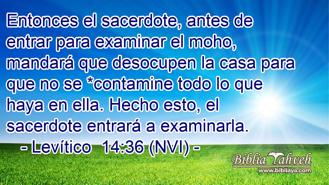  Entonces el sacerdote, antes de entrar para examinar el moho, mandará que desocupen la casa para que no se *contamine todo lo que haya en ella. Hecho esto, el sacerdote entrará a examinarla. 
