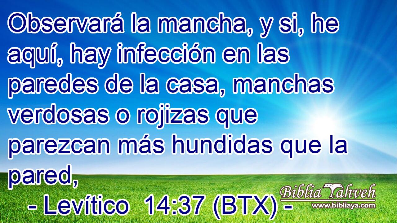 Observará la mancha, y si, he aquí, hay infección en las paredes de la casa, manchas verdosas o rojizas que parezcan más hundidas que la pared,
