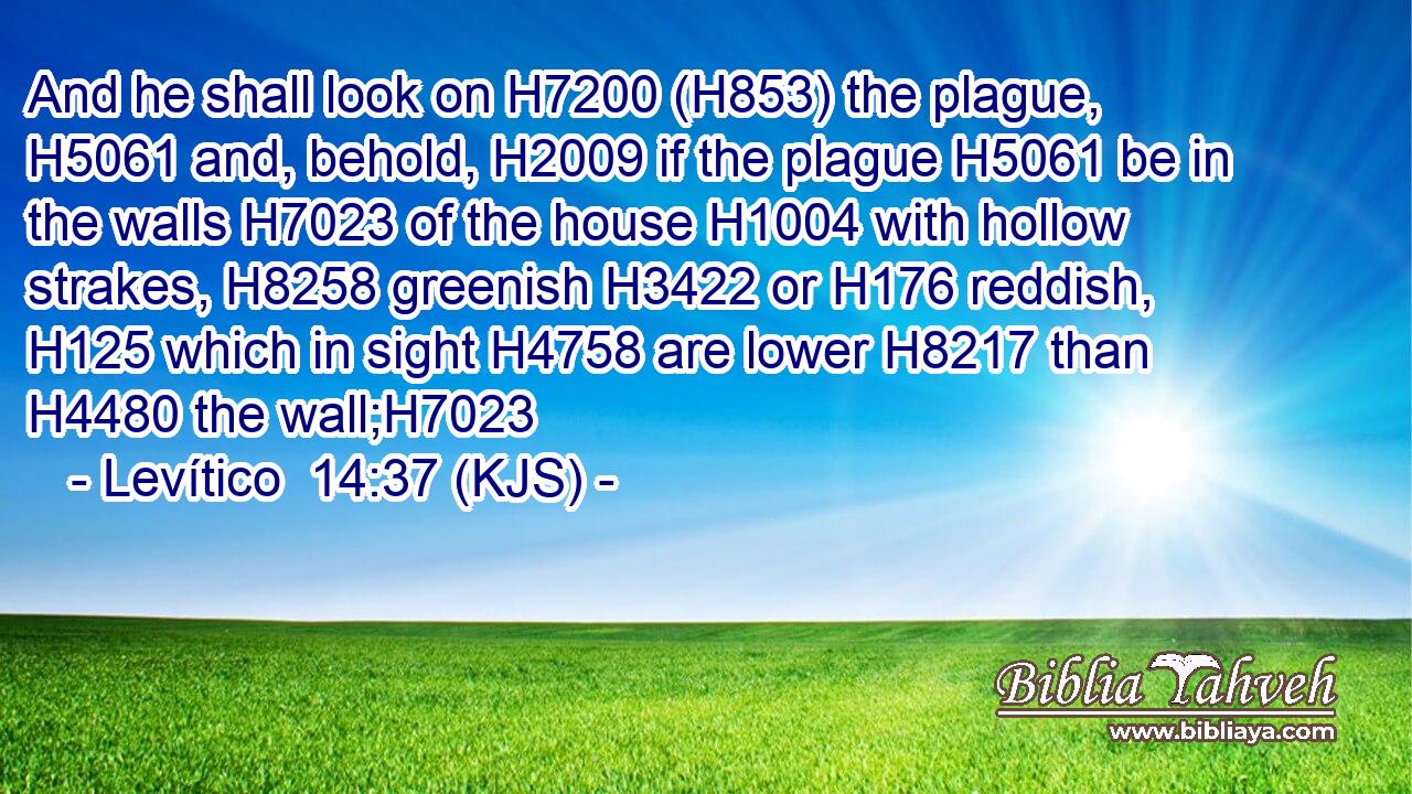 And he shall look on H7200 (H853) the plague, H5061 and, behold, H2009 if the plague H5061 be in the walls H7023 of the house H1004 with hollow strakes, H8258 greenish H3422 or H176 reddish, H125 which in sight H4758 are lower H8217 than H4480 the wall;H7023