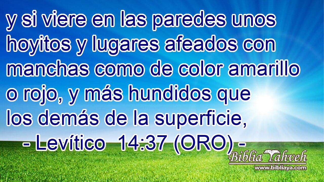  y si viere en las paredes unos hoyitos y lugares afeados con manchas como de color amarillo o rojo, y más hundidos que los demás de la superficie, 