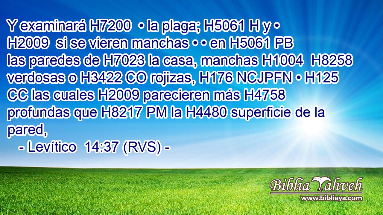 Y examinará H7200  • la plaga; H5061 H y • H2009  si se vieren manchas • • en H5061 PB las paredes de H7023 la casa, manchas H1004  H8258 verdosas o H3422 CO rojizas, H176 NCJPFN • H125 CC las cuales H2009 parecieren más H4758 profundas que H8217 PM la H4480 superficie de la pared, 