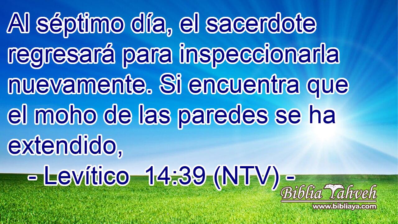 Al séptimo día, el sacerdote regresará para inspeccionarla nuevamente. Si encuentra que el moho de las paredes se ha extendido,