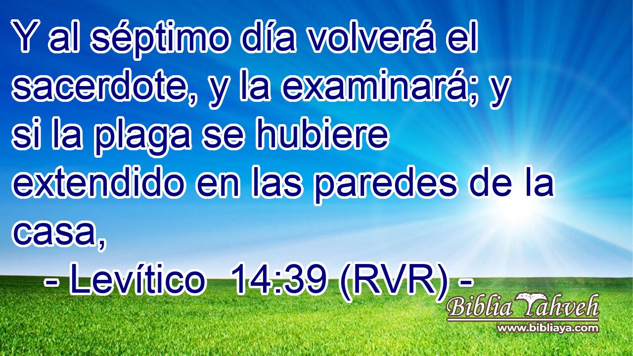 Y al séptimo día volverá el sacerdote, y la examinará; y si la plaga se hubiere extendido en las paredes de la casa,