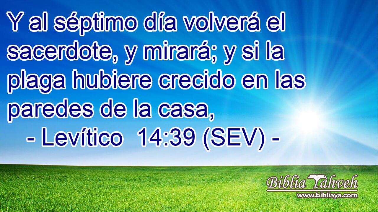 Y al séptimo día volverá el sacerdote, y mirará; y si la plaga hubiere crecido en las paredes de la casa,