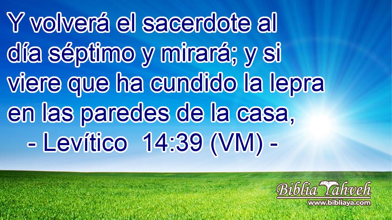  Y volverá el sacerdote al día séptimo y mirará; y si viere que ha cundido la lepra en las paredes de la casa, 