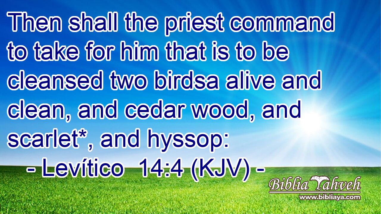 Then shall the priest command to take for him that is to be cleansed two birdsa alive and clean, and cedar wood, and scarlet*, and hyssop:
