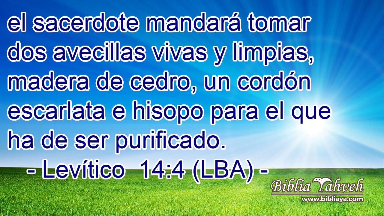 el sacerdote mandará tomar dos avecillas vivas y limpias, madera de cedro, un cordón escarlata e hisopo para el que ha de ser purificado.