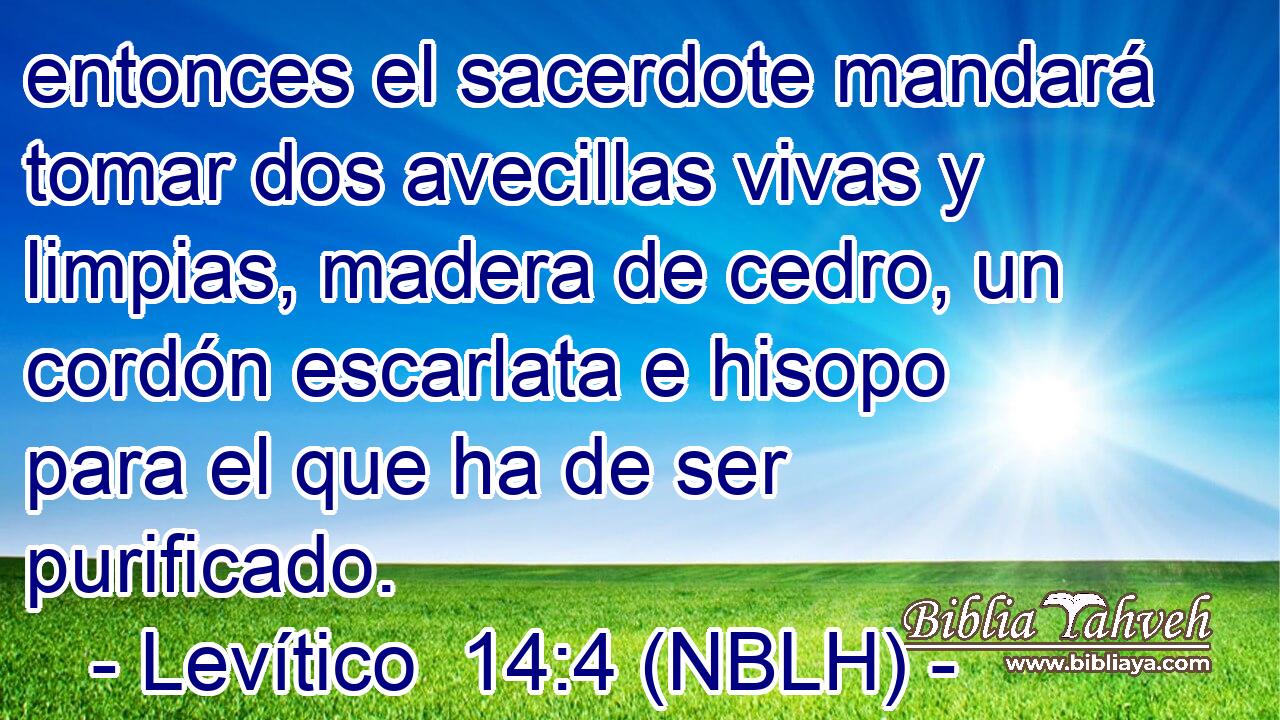  entonces el sacerdote mandará tomar dos avecillas vivas y limpias, madera de cedro, un cordón escarlata e hisopo para el que ha de ser purificado. 