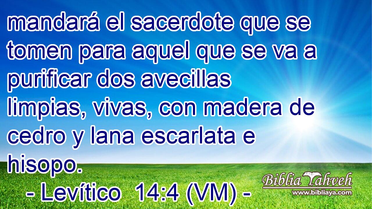  mandará el sacerdote que se tomen para aquel que se va a purificar dos avecillas limpias, vivas, con madera de cedro y lana escarlata e hisopo. 
